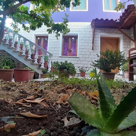 Guesthouse Hlias Gloria Berat Zewnętrze zdjęcie