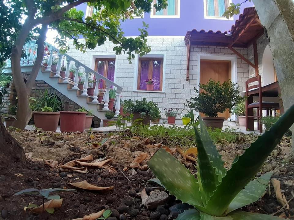 Guesthouse Hlias Gloria Berat Zewnętrze zdjęcie
