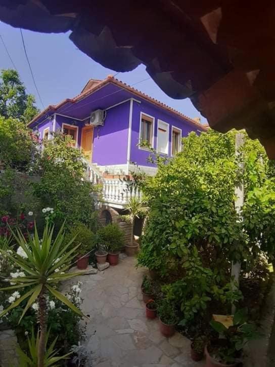 Guesthouse Hlias Gloria Berat Zewnętrze zdjęcie