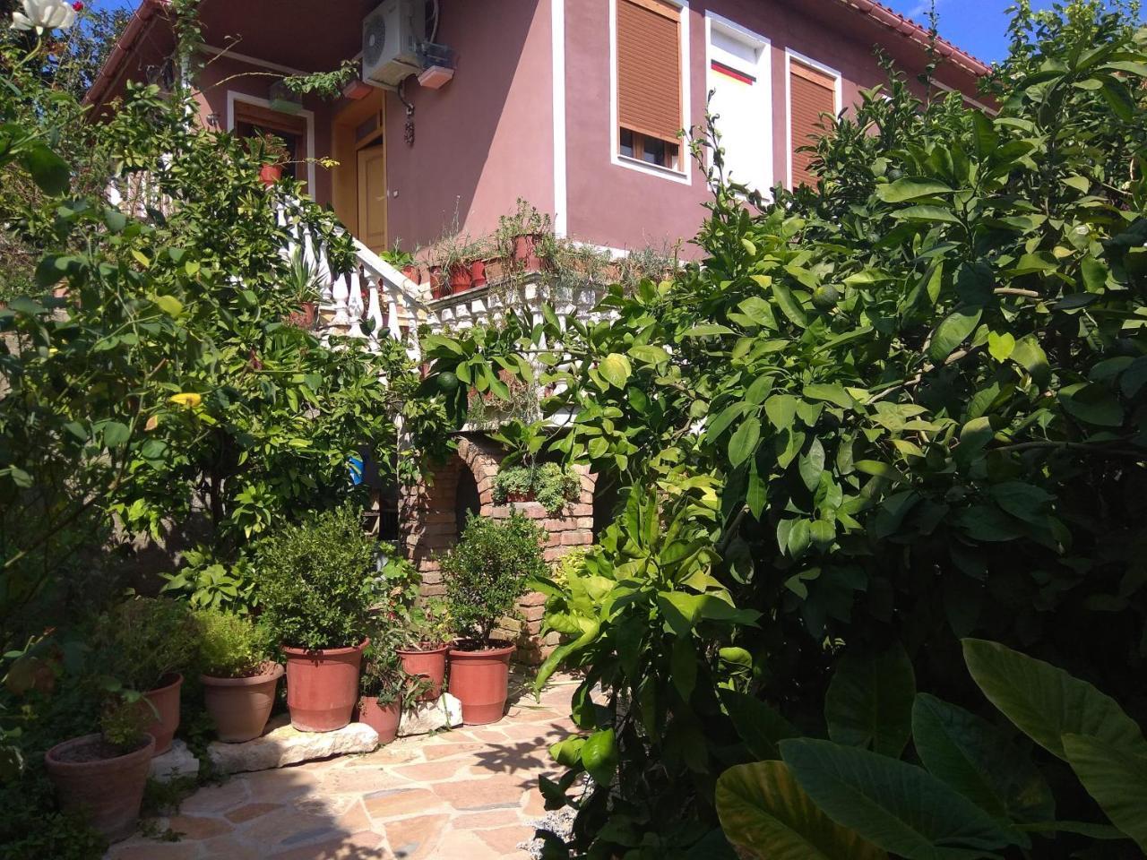 Guesthouse Hlias Gloria Berat Zewnętrze zdjęcie