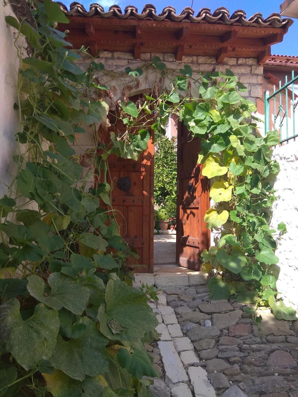 Guesthouse Hlias Gloria Berat Zewnętrze zdjęcie