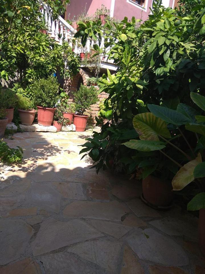 Guesthouse Hlias Gloria Berat Zewnętrze zdjęcie